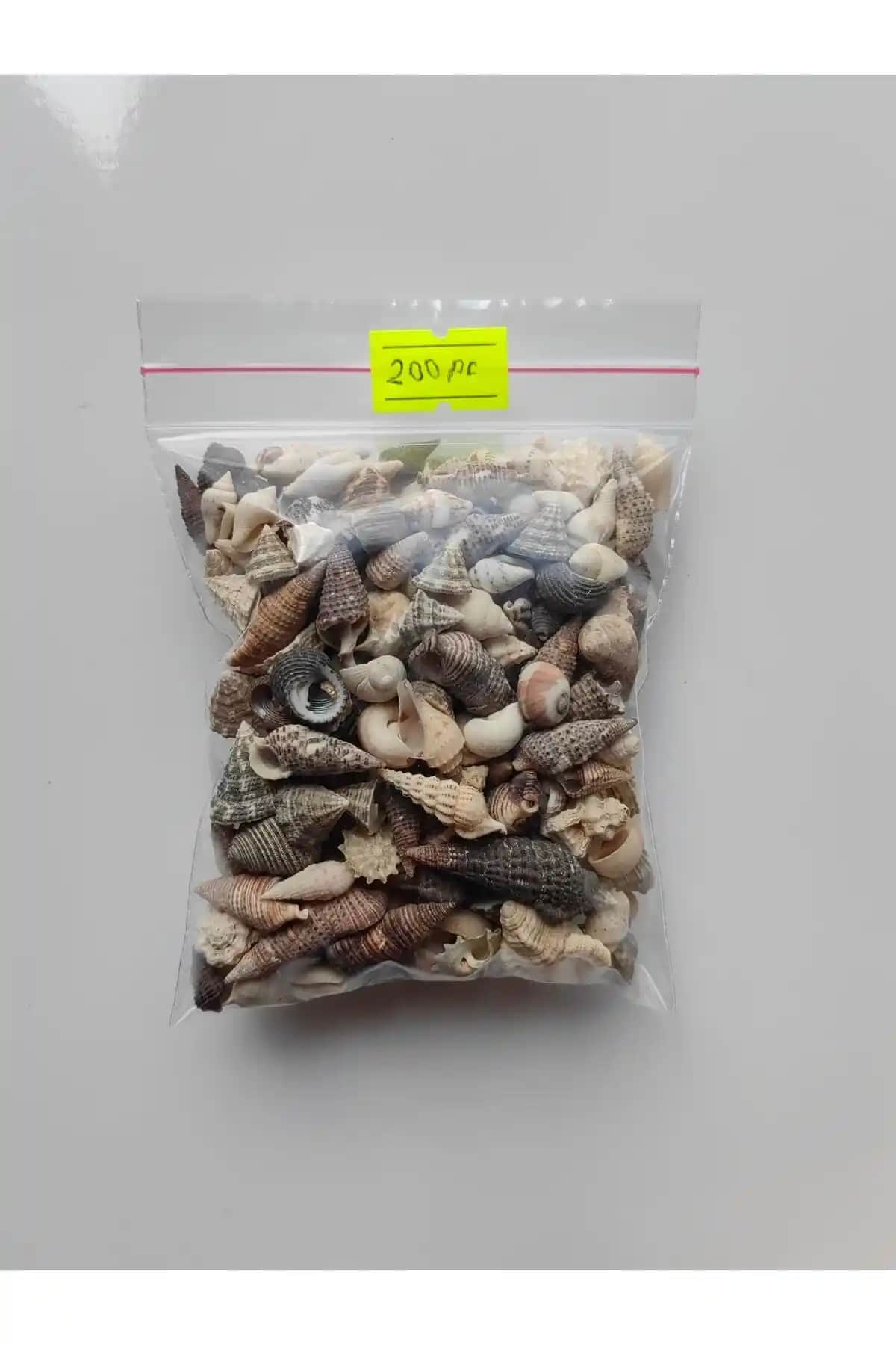 Seashell Rio Minik Deniz Kabukları: Doğal ve Estetik Akvaryum ve Dekorasyon Ürünü