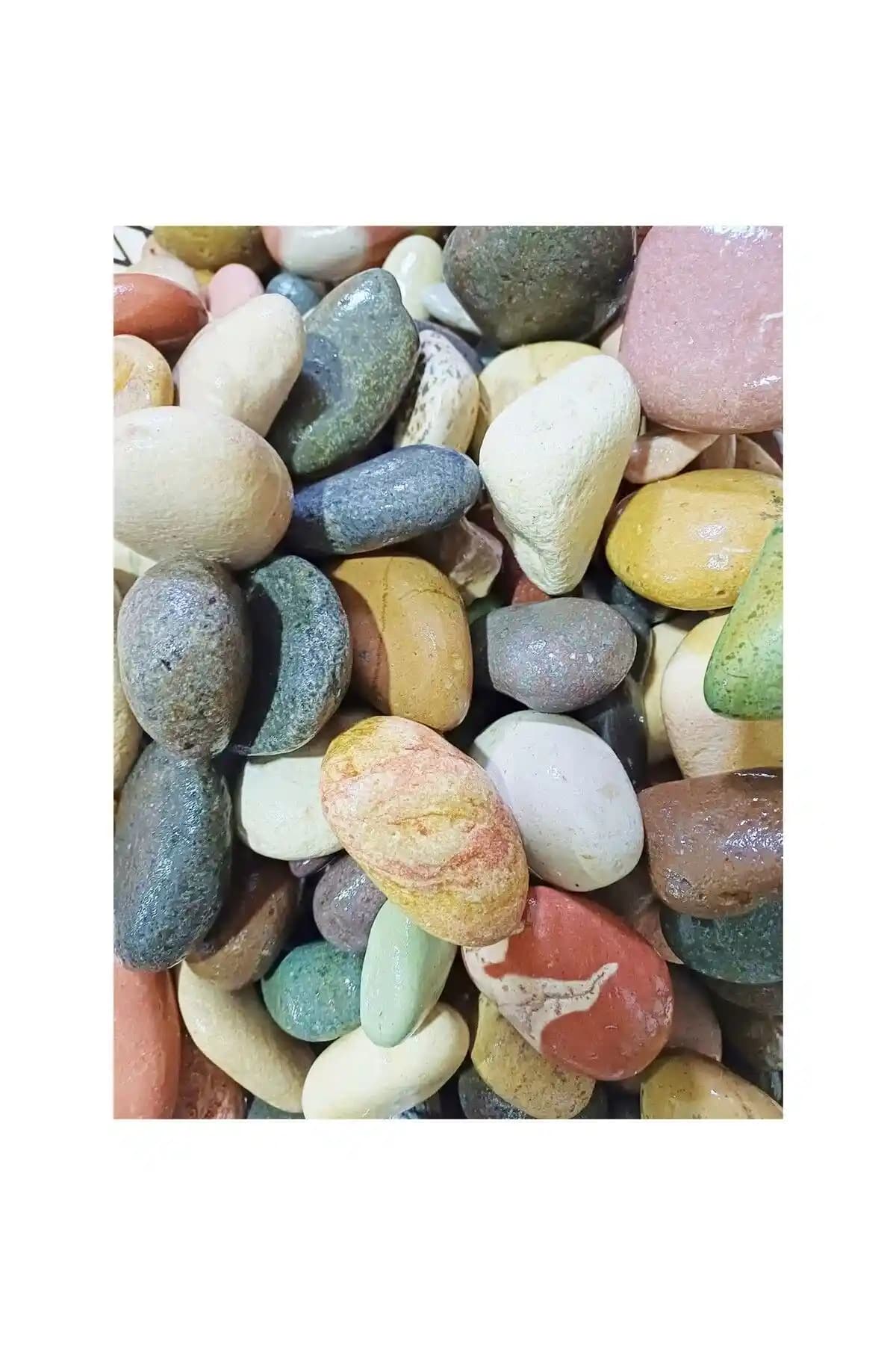 Side Koylarından Toplanan 2 Kg Doğal Deniz Taşı Dekoratif ve Çok Amaçlı Kullanım İçin