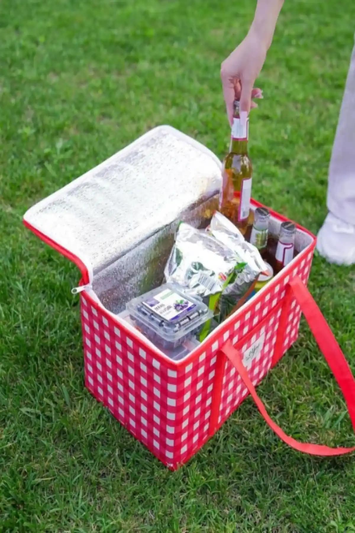 MasterCar Büyük Boy Termo Çanta: Isı Yalıtımlı Kırmızı Piknik ve Kamp İçin 20–24,9 L