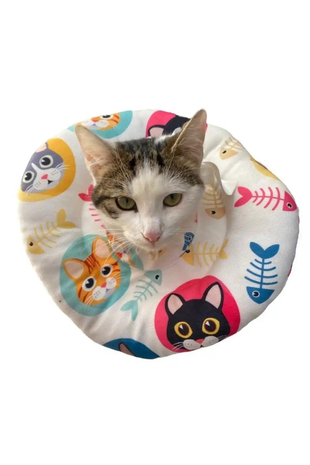 Yara İyileşmesini Destekleyen Ayarlanabilir ve Yıkanabilir Elizabeth Yakalığı