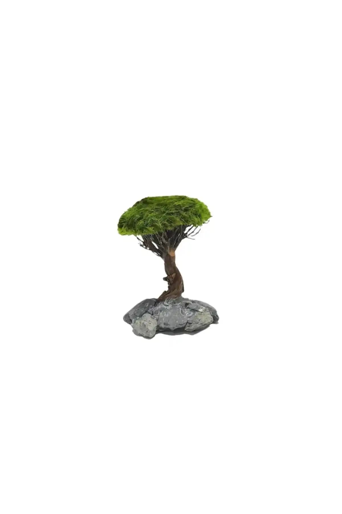Akvaryum Dekorasyonunda Doğal ve Estetik Marimo Scape Ağaç Figürü Moss Sarılı