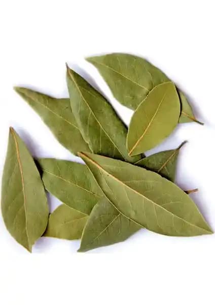 Ayvalık Baharat Defne Yaprağı 100 gr Doğal ve Aromatik Baharat Seçeneği