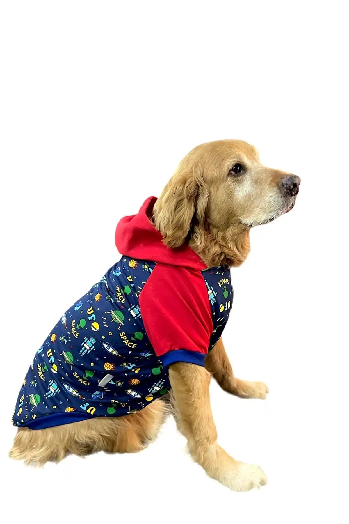 DOGİ&DOG Büyük Irk Space Köpek Sweati: Konforlu ve Dayanıklı Kış Giyim Çözümü