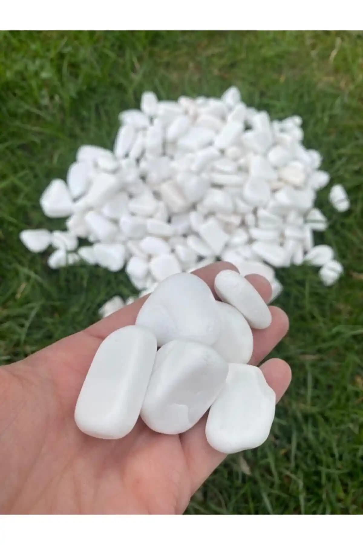 Elysian Beyaz Dolomit Taş 1kg Doğal ve Dekoratif Peyzaj ve İç Mekan Kullanımı