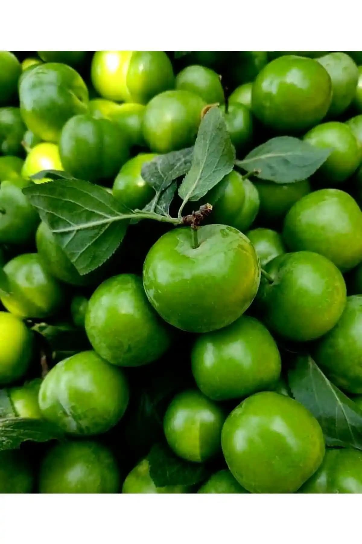 Hamilelik Döneminde Taze ve Sert Yeşil Erikler: Sağlıklı Beslenme Seçeneği