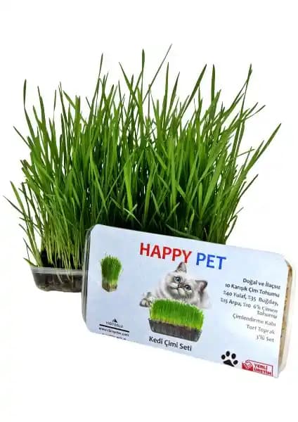 Happy Pet Kedi Çimi Seti: Doğal ve Sağlıklı Yeşillik Kaynağı ile Kedinizin Yaşam Kalitesini Artırın