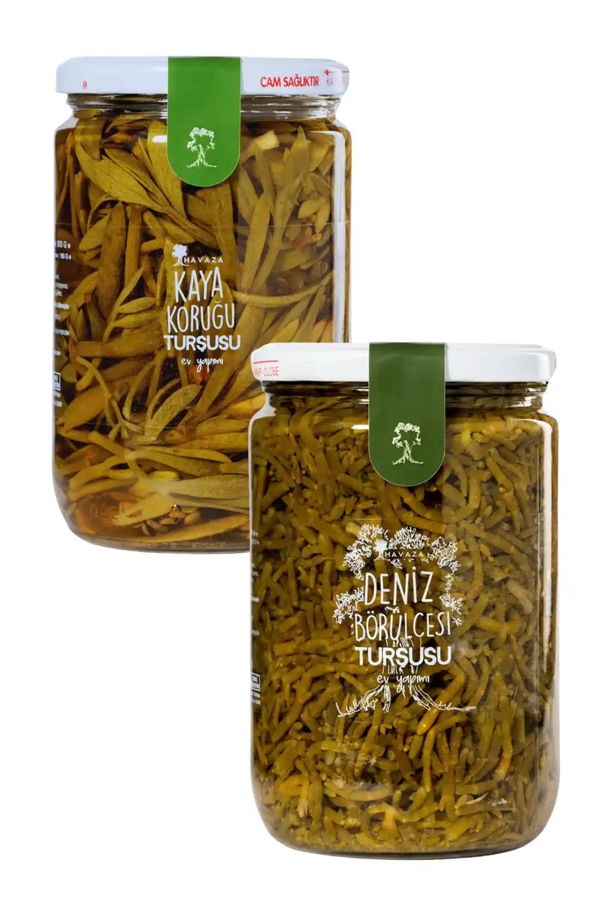 Havaza Muhteşem İkili Deniz Börülcesi ve Kaya Koruğu Doğal ve Geleneksel Üretimle Sağlıklı Tercih