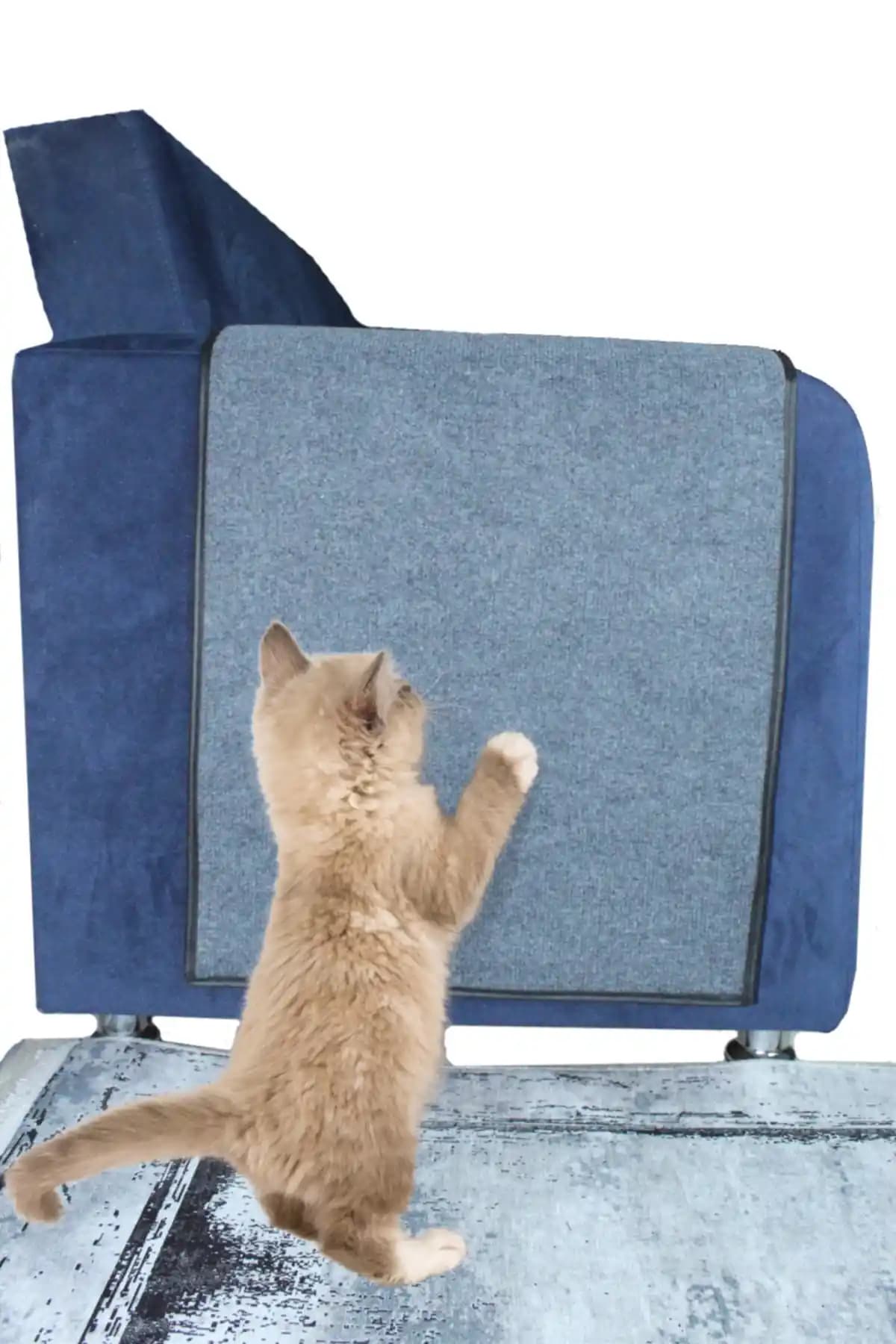 Kedi Tırmalama Halısı ve Mobilya Koruma Ürünü - Pratik ve Güvenli Kullanım
