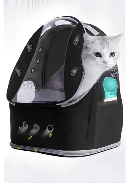 Kedi ve Köpek Taşıma Çantaları Karşılaştırması: Malzeme, Tasarım ve Kullanım Özellikleri