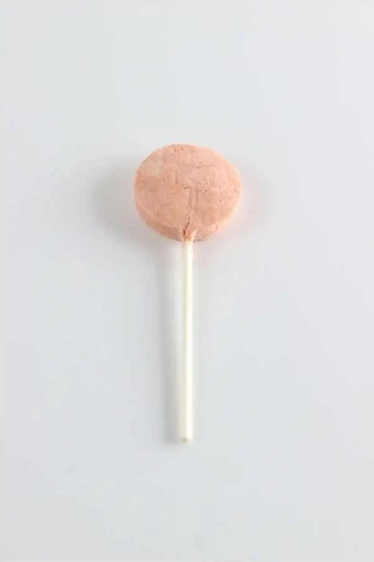 Kediler İçin Sağlıklı ve Lezzetli Kedi Lolipopu Kızılcıklı Tavuklu Tablet Ürünü