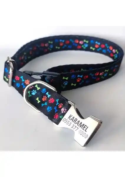 Köpek Tasmaları Karşılaştırması: Ayz Markalama ve Eastland Deri Modelleri