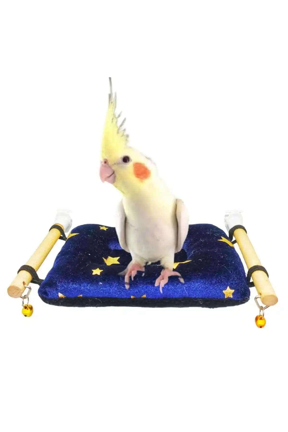 Ozzipetshop Sultan Papağanı Yastıklı Dinlenme Tüneği Konfor ve Estetik Birlikteliği