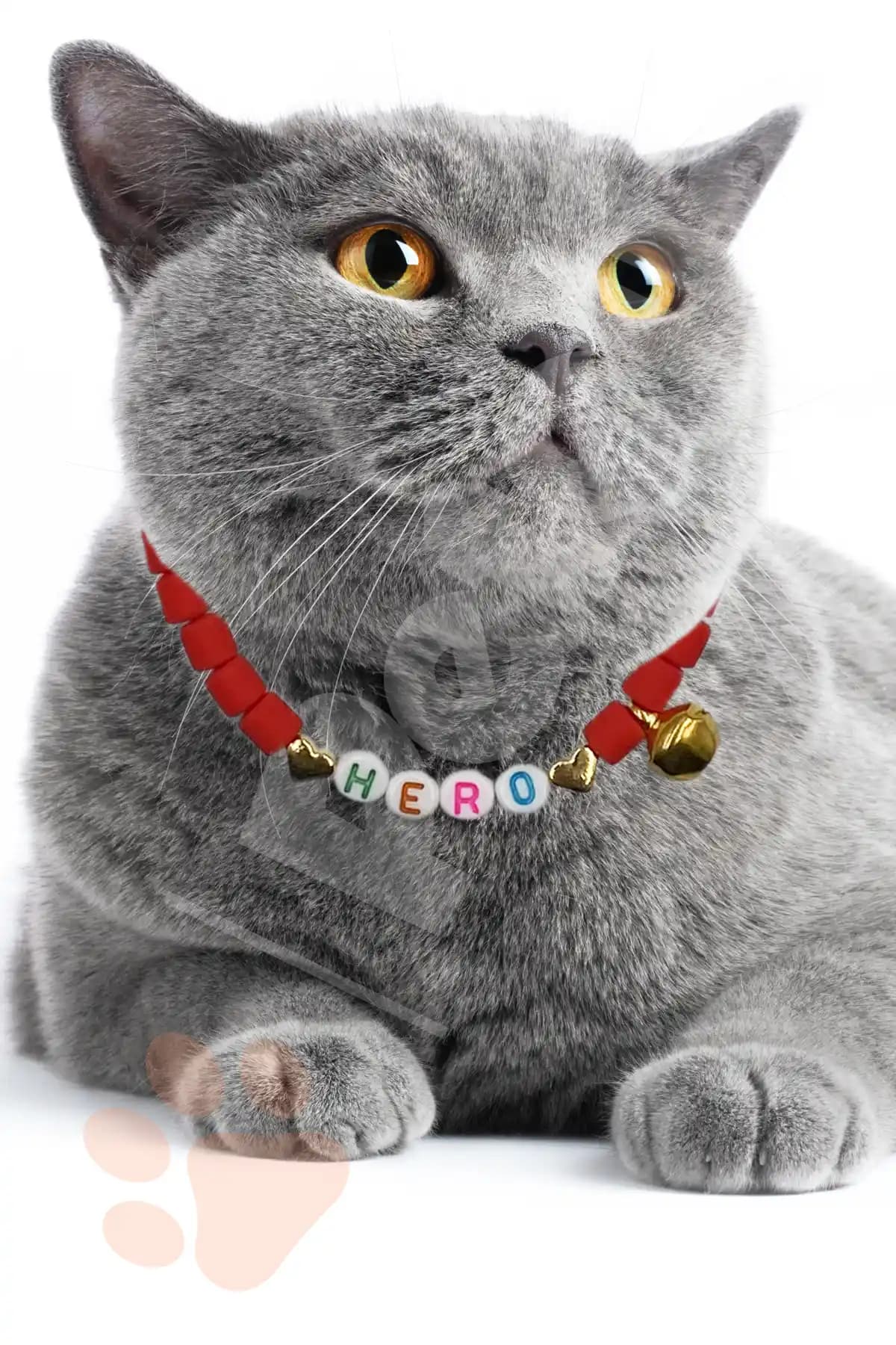 Petella Marka Gold Detaylı Kırmızı Renkli Ayarlanabilir Kedi Boyun Tasması