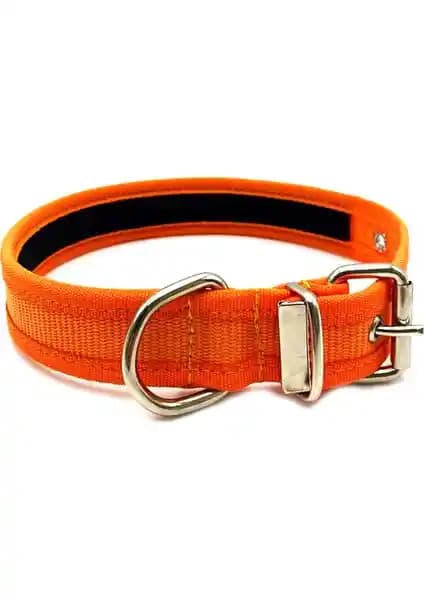 Tasma Market Köpek Tasması Karşılaştırması: Yumuşak Dokulu ve Büyük Irk Tasması Özellikleri