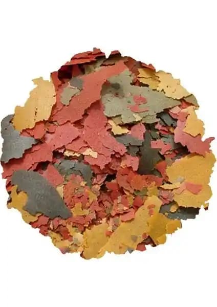 Tetra Min ve Tetra Pro Color Pul Yem Karşılaştırması Balık Bakımında En İyi Seçenekler