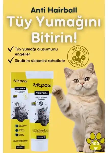 Vitpaw Malt Paste ve Multi Paste Karşılaştırması: Kullanım Amaçları ve Faydaları