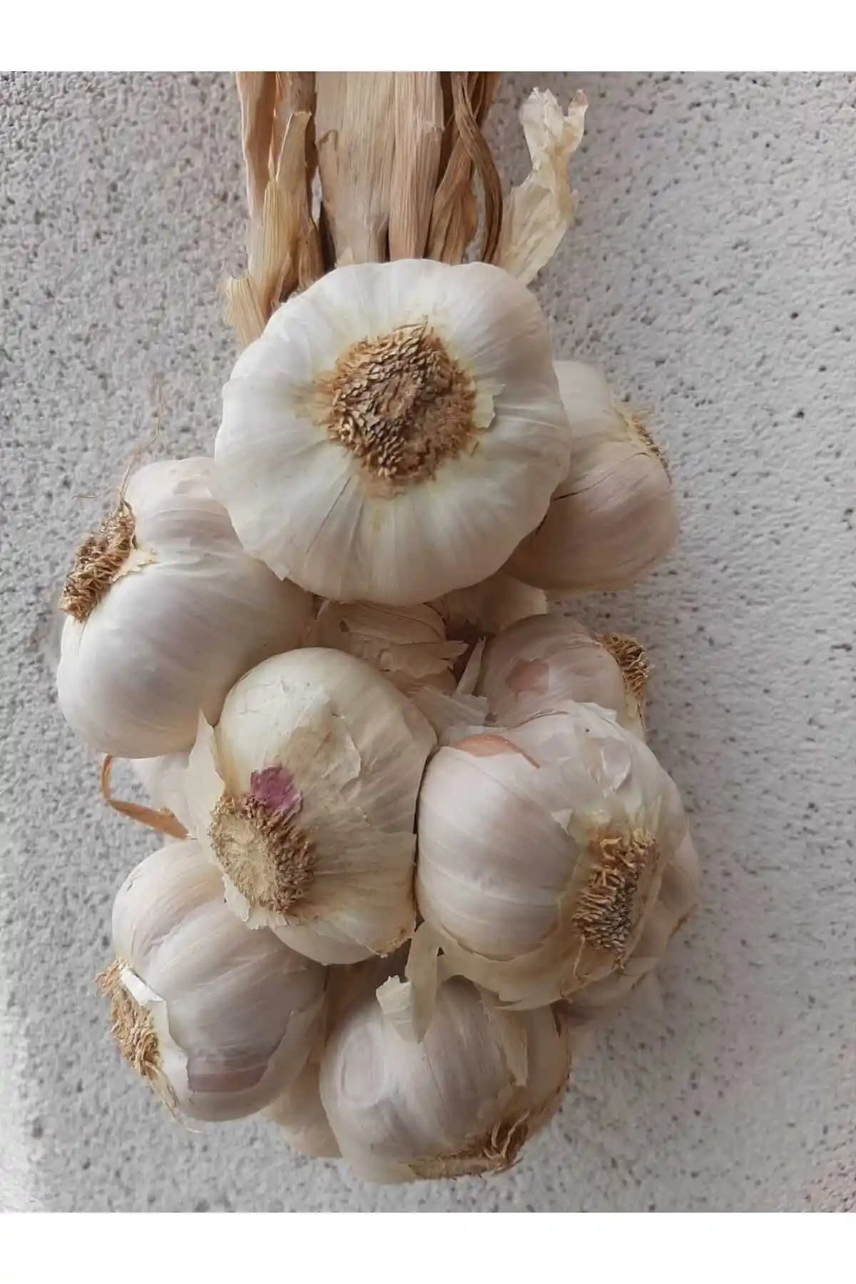 Yenice Organik Kastamonu Sarımsağı: Doğal ve Lezzetli Organik Sarımsak Seçeneği