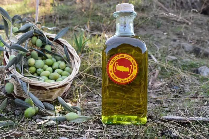 Ayın Zeytinyağı Borsası ve Perakende Fiyatlarının Güncel Durumu