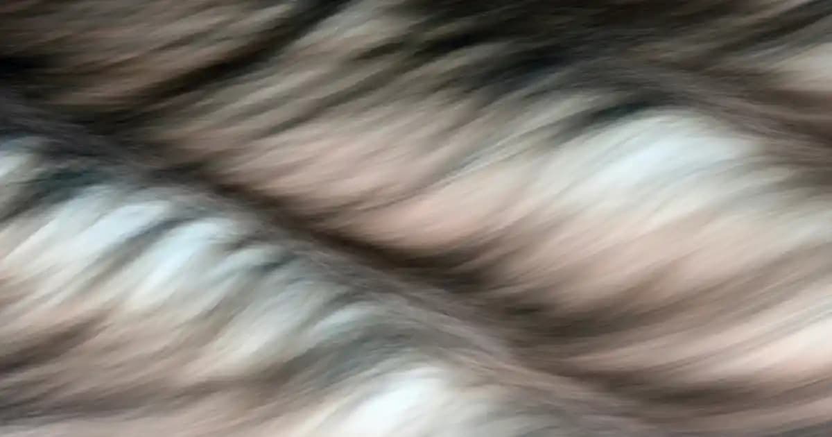 Aynalı Takı Dolabı Seçenekleri ve Ev Dekorasyonuna Katkıları