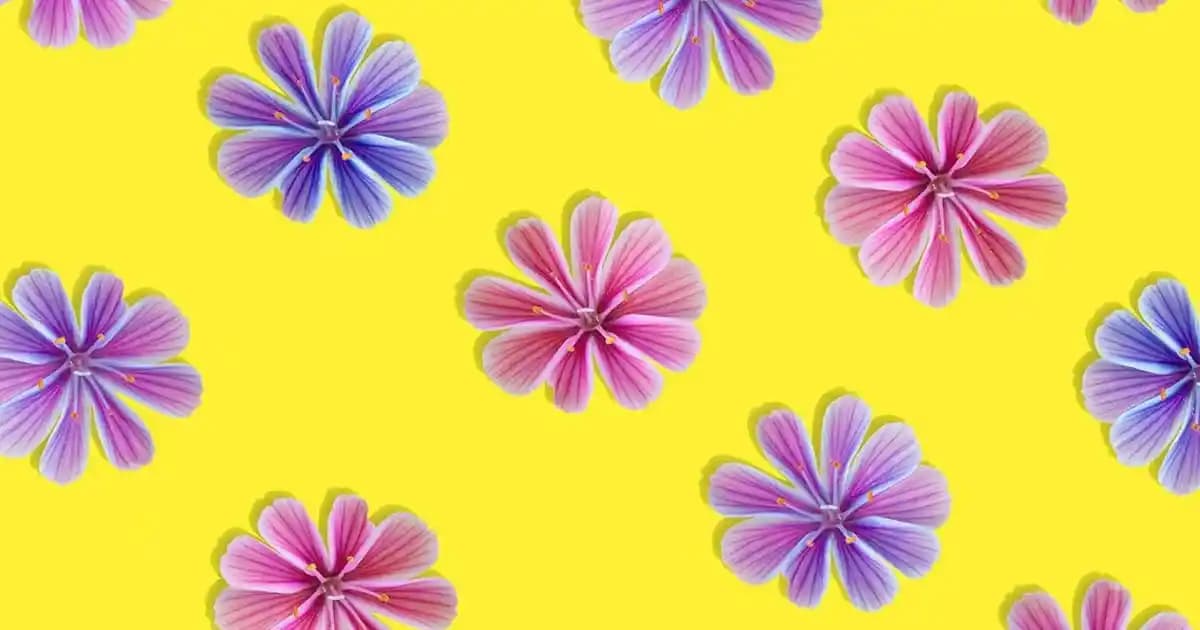 Diyarbakır ile Kahramanmaraş Arası Mesafe, Yolculuk Süreleri ve Gezi Rehberi