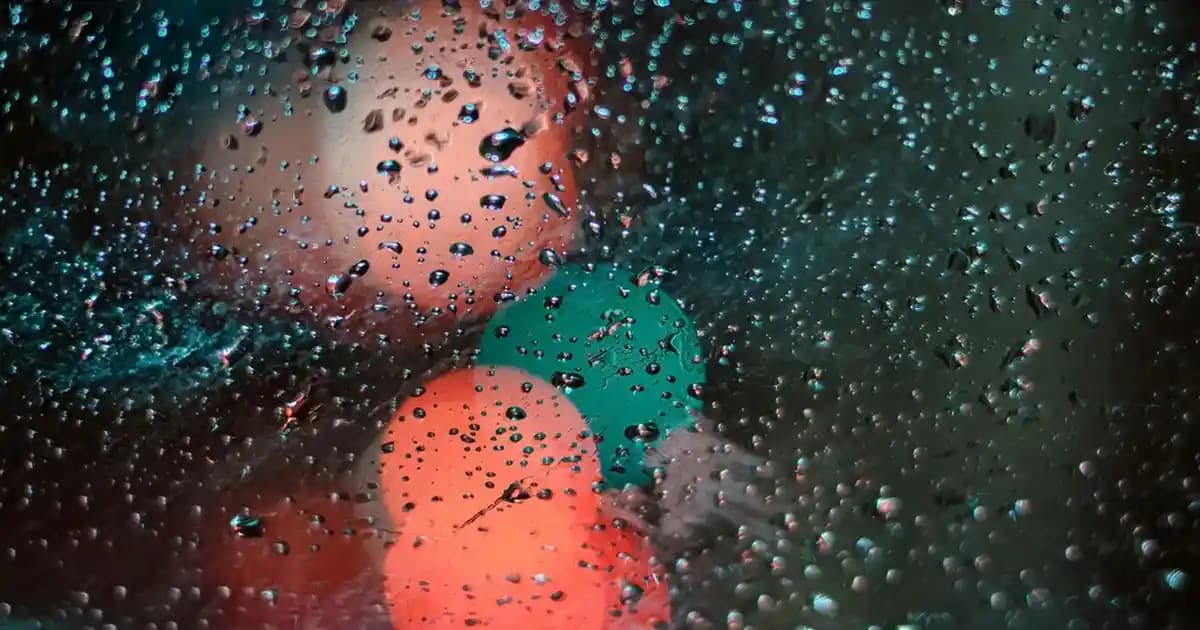 Esenyurt'ta Migros Mağazaları, Uygun Fiyatlar ve Geniş Ürün Yelpazesiyle Alışveriş Merkezi