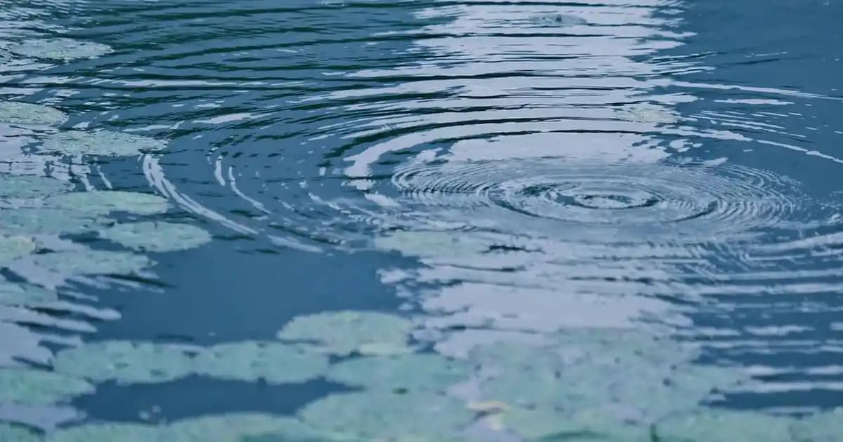 Gaziosmanpaşa'daki Migros Mağazalarının Konumu, Hizmetleri ve Alışveriş Deneyimi