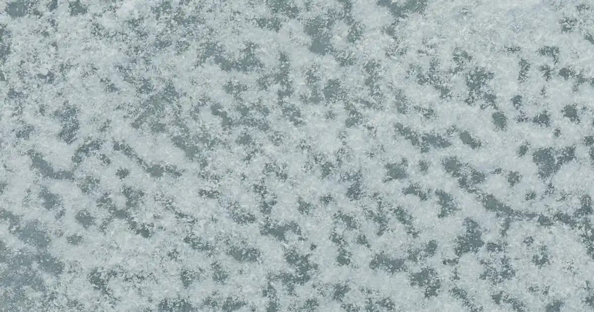 2025'te L-Carnitine ile Yağ Yakımında Devrim: Gerçek Faydalar ve Riskler