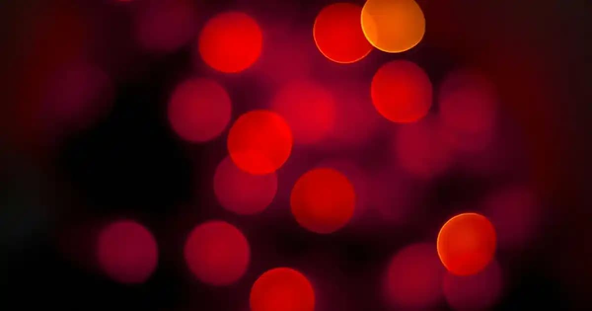 2025'te Laktozsuz Günlük Sütle Sağlığınızı ve Rutininizi Değiştirin