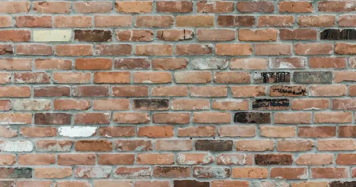 2025'te Mangalda Tavuk Keyfinizi Zirveye Taşıyacak 5 Sos Sırrı