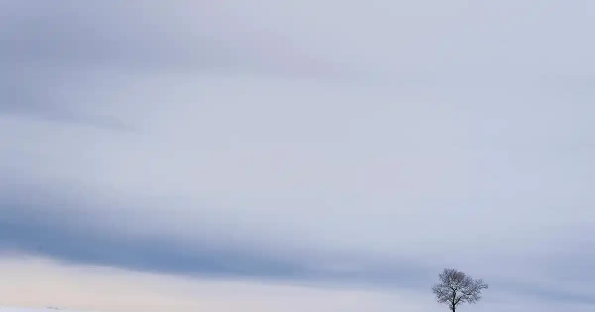 Mevlüt Magnetleri Nedir ve Dini Törenlerde Kullanım Avantajları Nelerdir