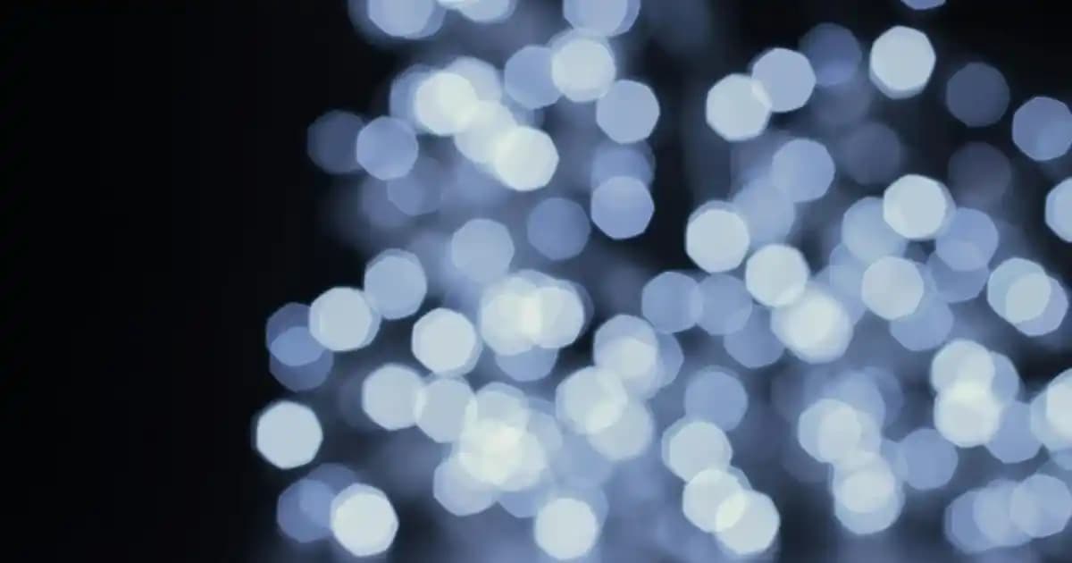 Mevsim Balıkları: Hangi Ayda Hangi Balık Tüketilmeli ve Sağlık İçin Önemi