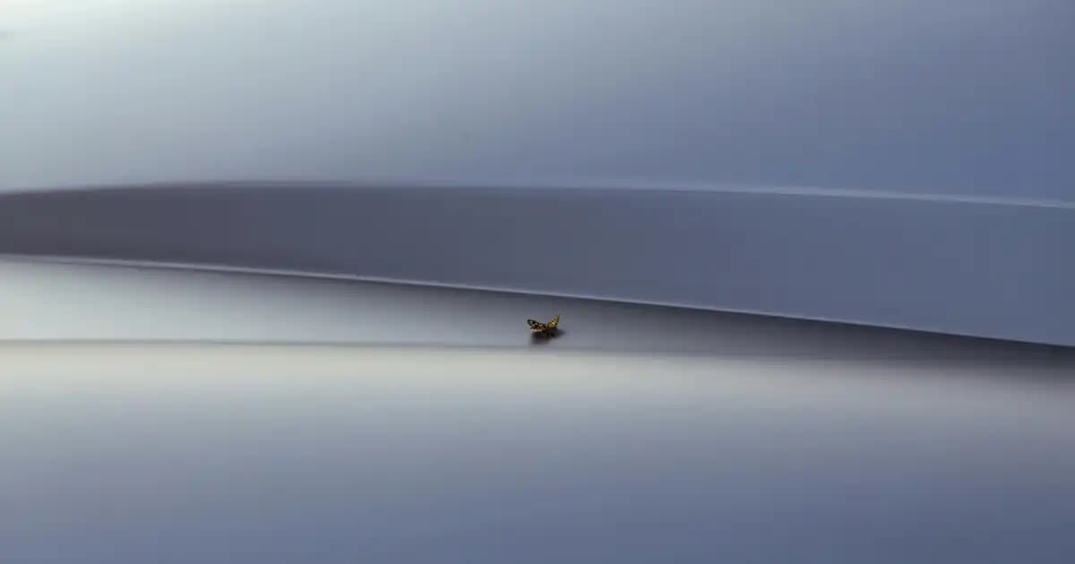 Migros Külot Ped Ürünleri: Günlük Konfor ve Güvenlik İçin Güçlü Çözümler