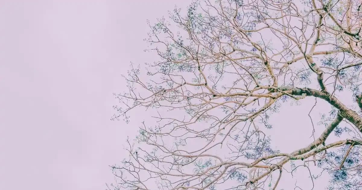 Migros Mağazalarının Güncel Çalışma Saatleri ve Alışveriş Planlama İpuçları