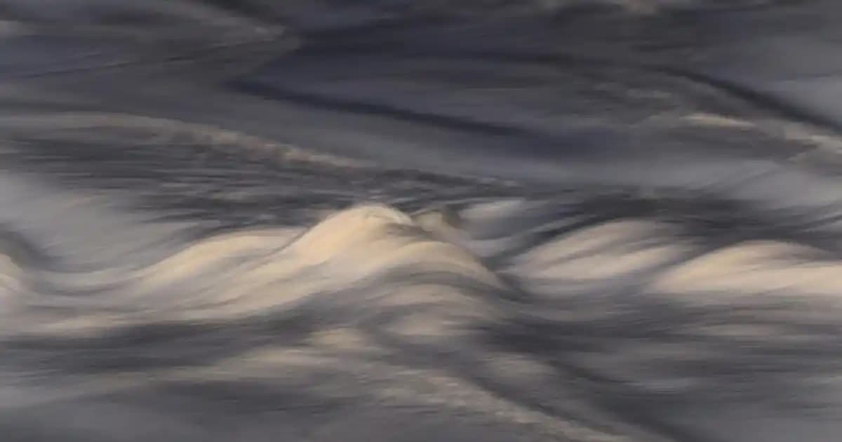 Migros Merter Güngören'de Güvenilir ve Çeşitli Alışveriş Deneyimi Sunan Süpermarket