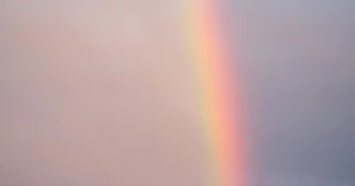 Migros'ta 2025'te 1 Kg Kaşar Peyniri: En İyi Fiyat ve Kalite Rehberi