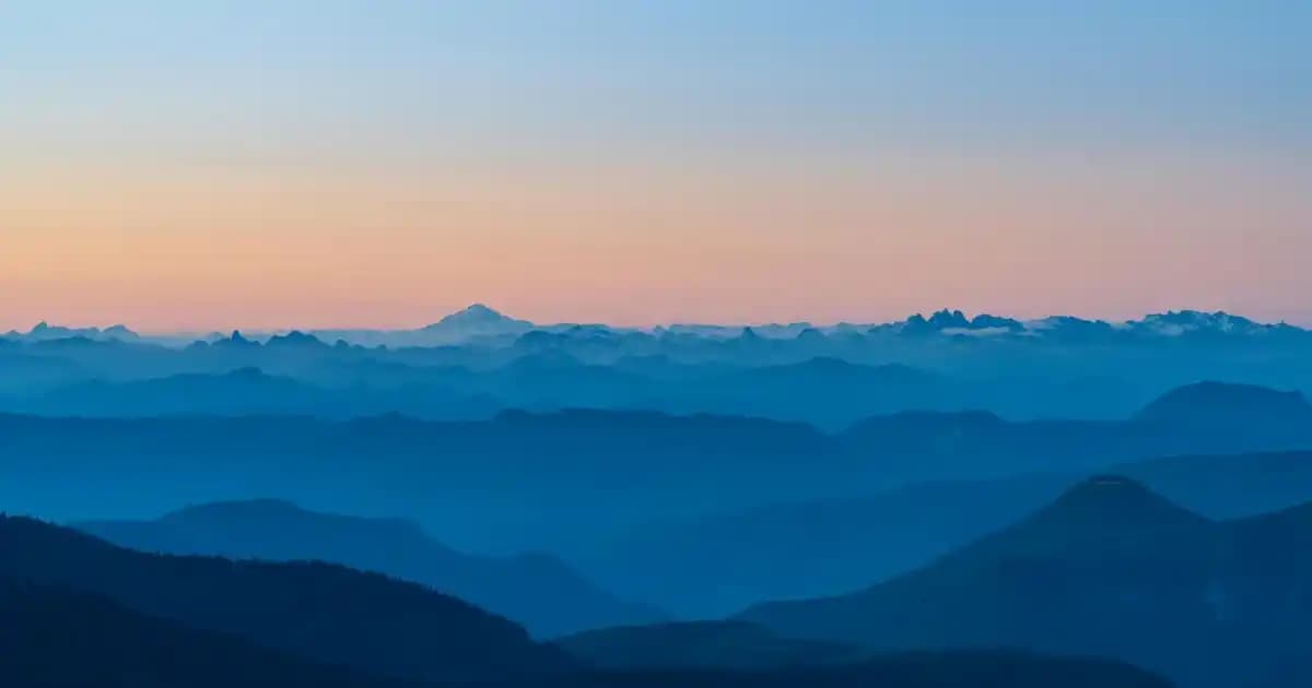 Migros'ta 4'lü Efes Malt Fiyatları ve Ekonomik Alışveriş İpuçları