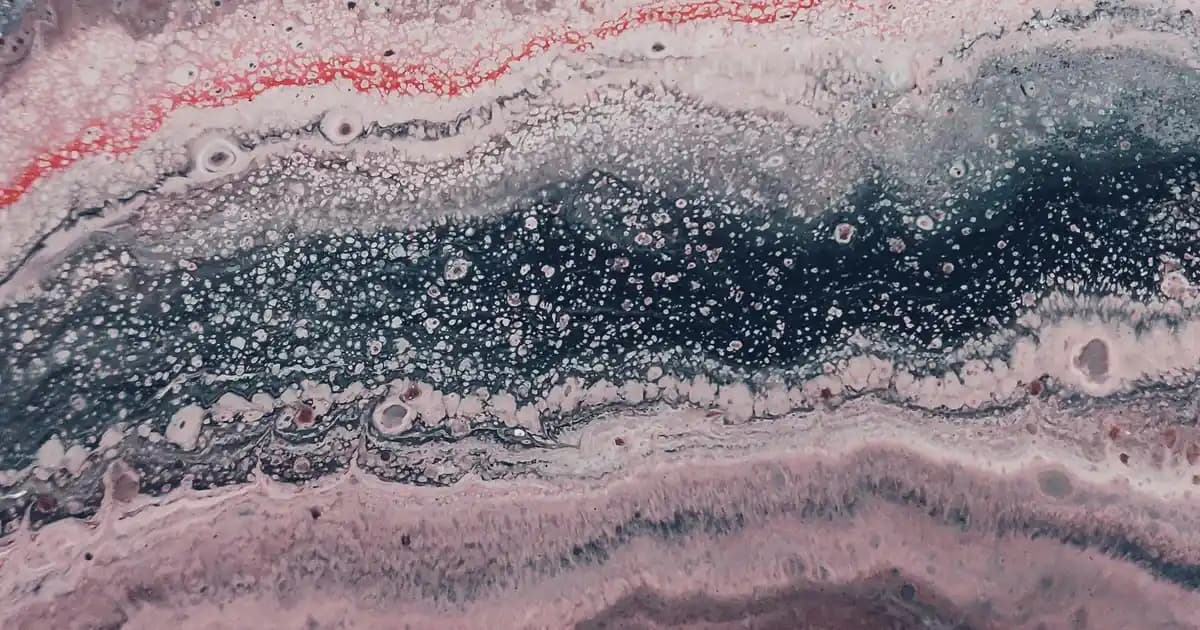 2025'te Migros'ta Cupcake Kalıplarıyla Mutfakta Devrim Yaratın