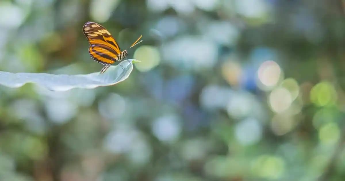 Migros'ta Erkek Boxer Seçenekleri: Konfor, Fiyat ve Stil Dengesi Analizi