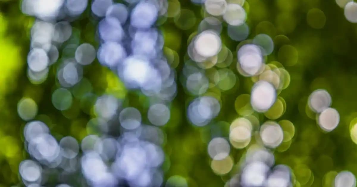 Migros'ta Etimek Çeşitleri ve Kullanım Alanları Hakkında Kapsamlı Bilgi