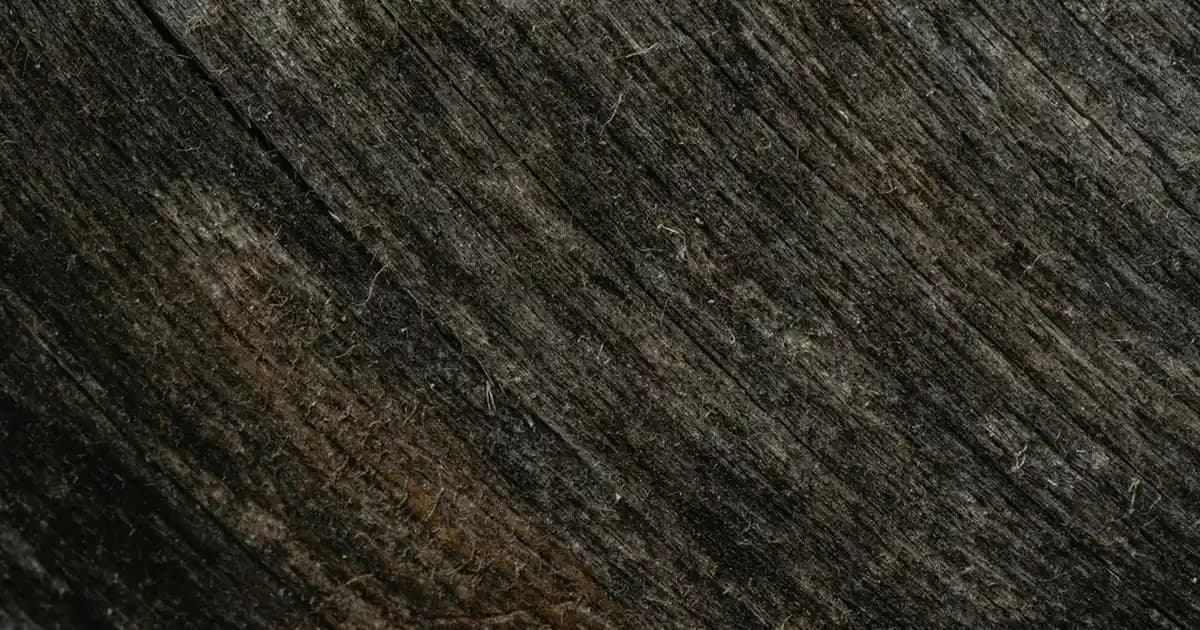 Migros'ta Fırın Kabı Seçenekleri ve Mutfakta Kullanım İpuçları Rehberi