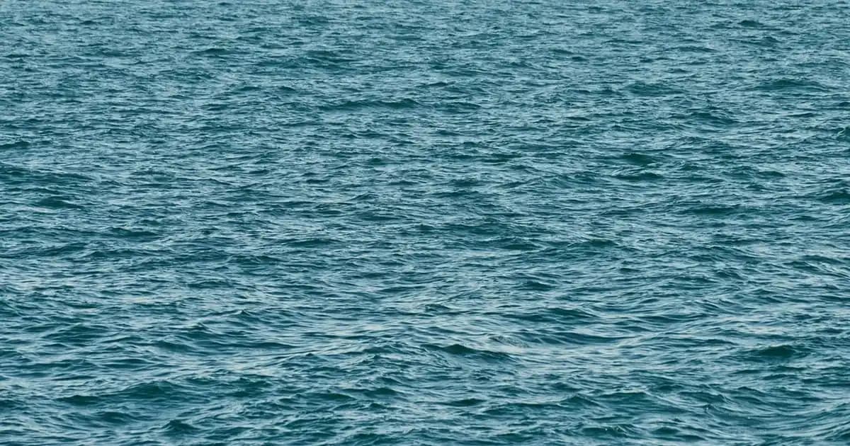 2025'te HiPP 1 Serisi ile Bebeğinizin Doğal ve Güvenli Başlangıcı