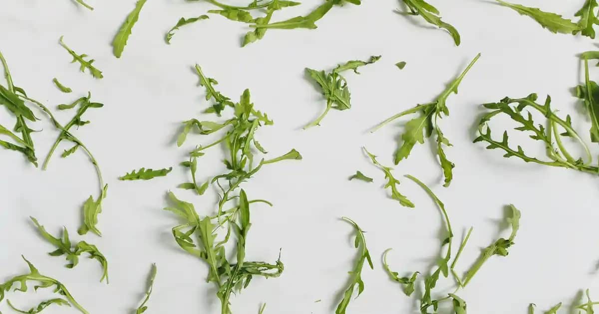 Migros'ta Mangal Fiyatları ve Çeşitleri Hakkında Kapsamlı Rehber