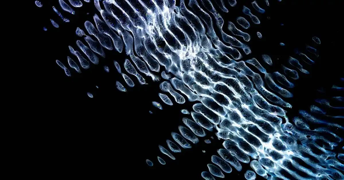 2025'te Migros'ta Nutella Fiyatlarında Şaşırtan Değişiklikler ve Tasarruf Tüyosu