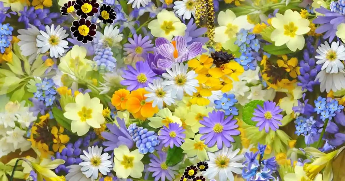 2025'te Migros'ta Soya Kıymasıyla Hem Sağlıklı Hem Ekonomik Seçenekler