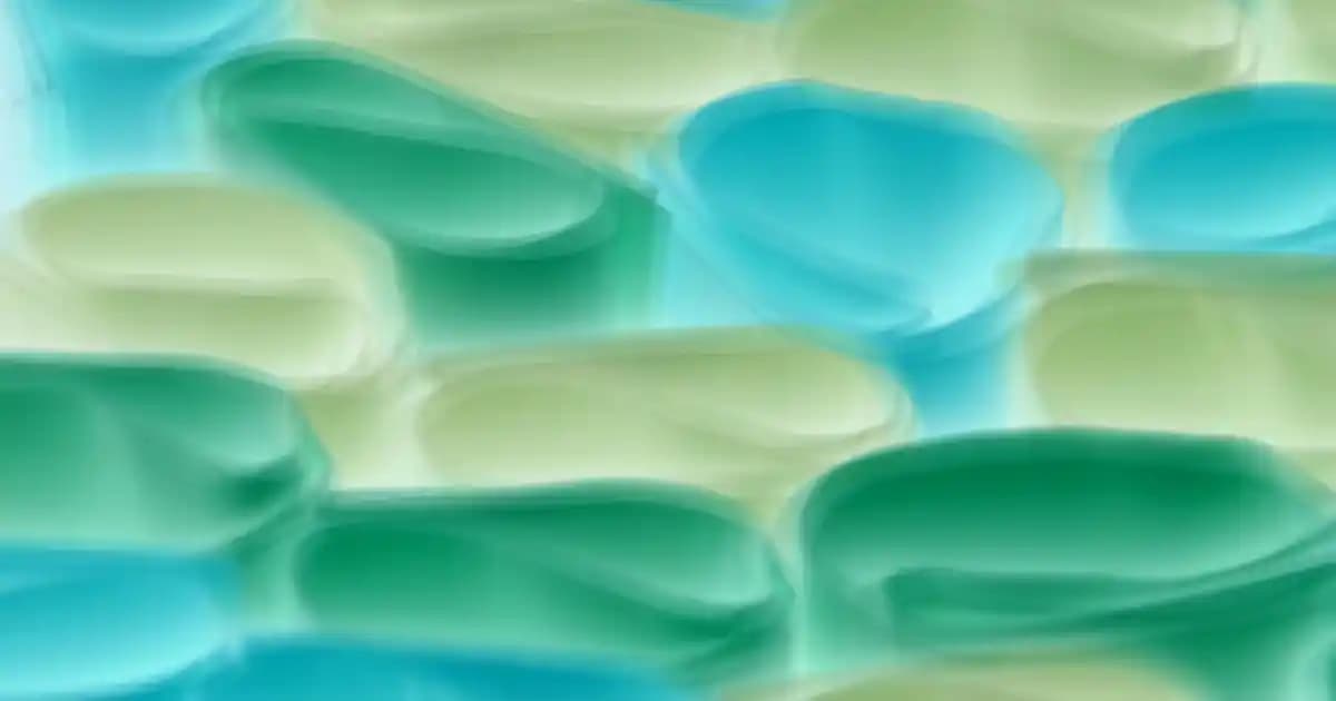 Migros'ta Uygun Fiyatlı ve Hijyenik Saç Yıkama Bonesi Çeşitleri ve Kullanım Alanları