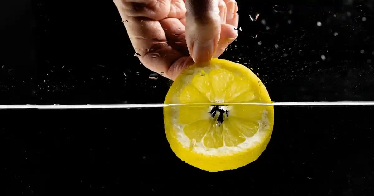 Migros'tan Taze ve Uygun Fiyatlı Lakerda Seçenekleriyle Deniz Lezzetini Evde Yaşayın