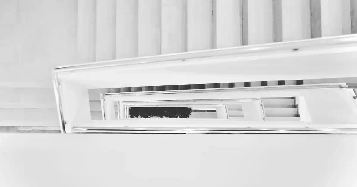 2025'te Mısırın Sırları: Sebze, Meyve ve Tahıl Arasındaki Gerçek