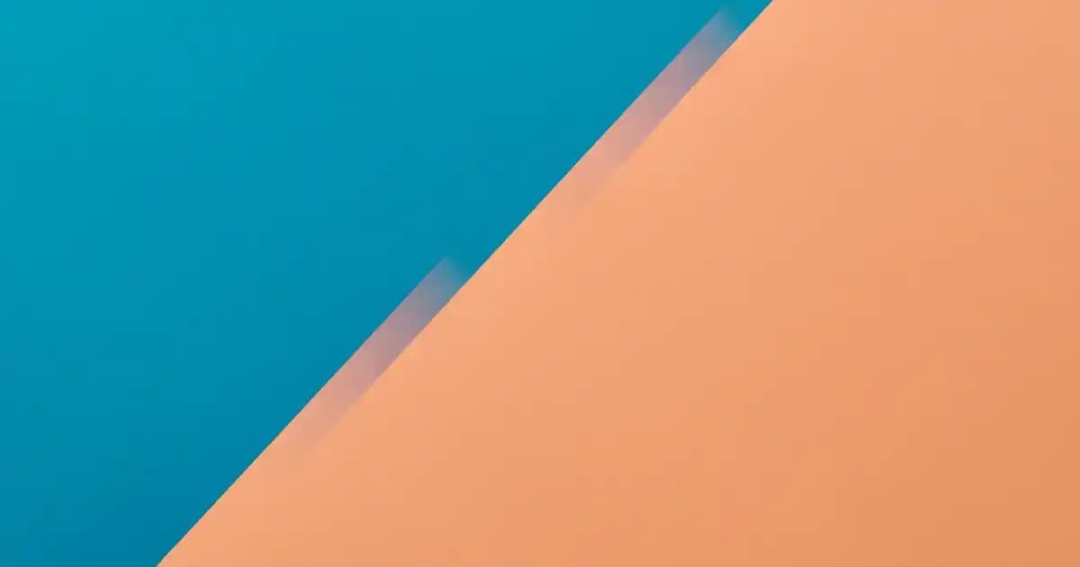 Naftalin Seçimi ve Kullanımı: Güvenilir Markalar ve Uygun Fiyatlar