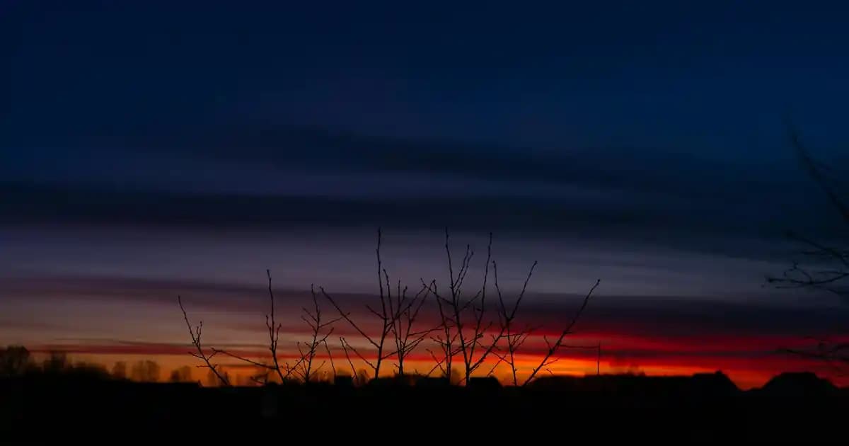 2025'te Neurozan Yan Etkileri ve Güvenli Kullanımın 5 Kritik Kuralı