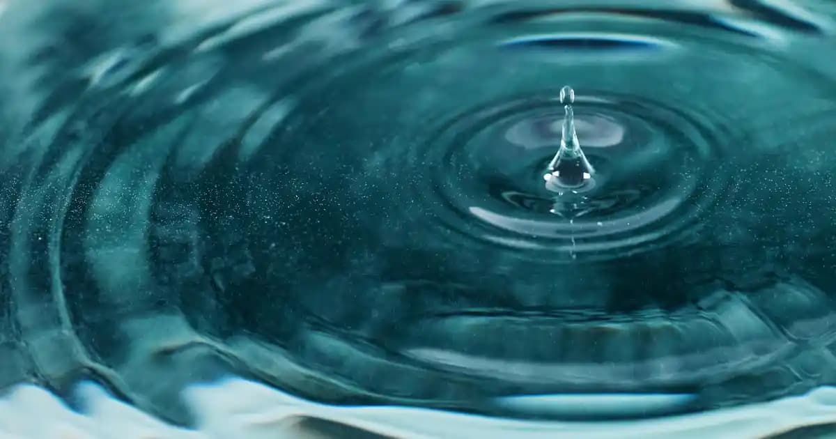 Ocean Methyl Balance ile Metilasyon Süreçlerini Destekleyen Sağlık Takviyesi